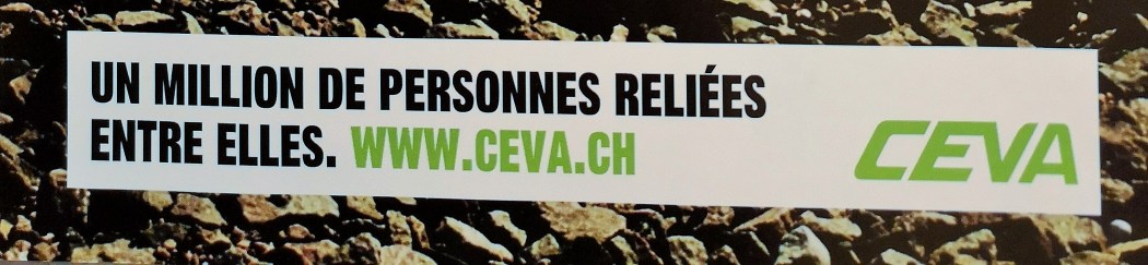 IMG_20191226_210119 (2).jpg